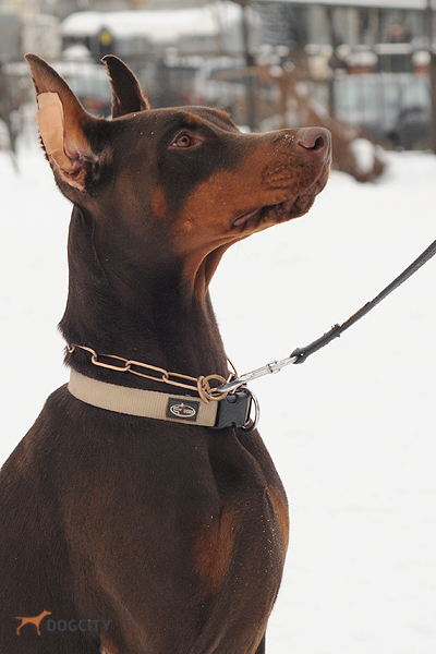 DSC_2976.JPG