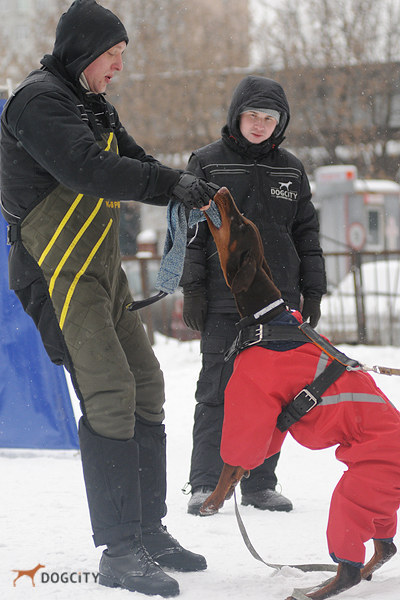 DSC_3231.JPG