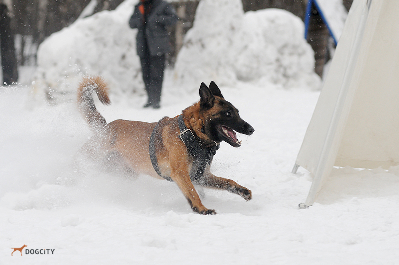 DSC_3347.JPG