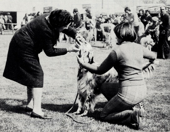 1919.jpg