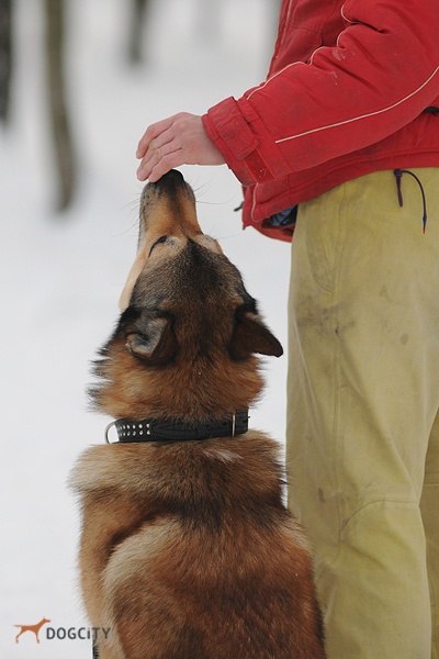 DSC_3412.JPG