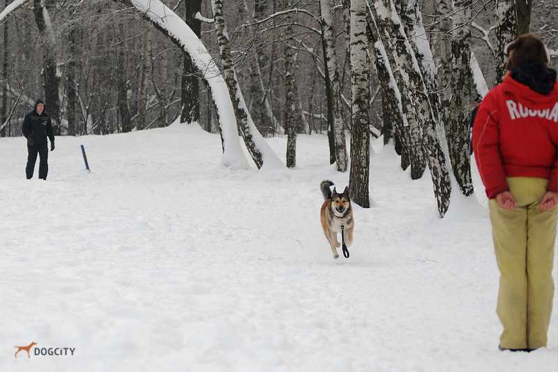 DSC_3410.JPG