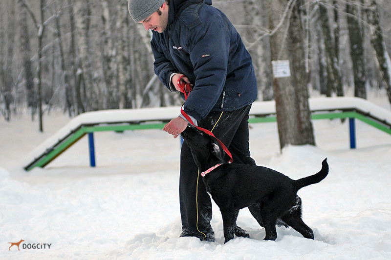 DSC_3475.JPG
