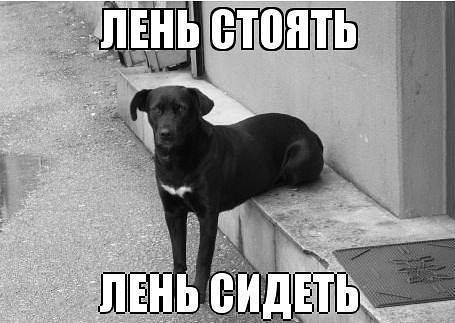 getImage.jpg