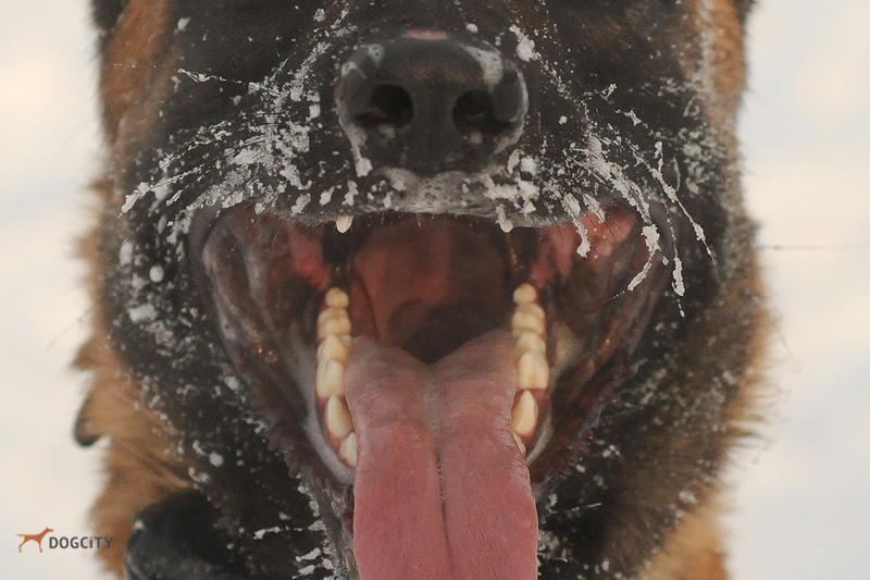 DSC_3943.JPG