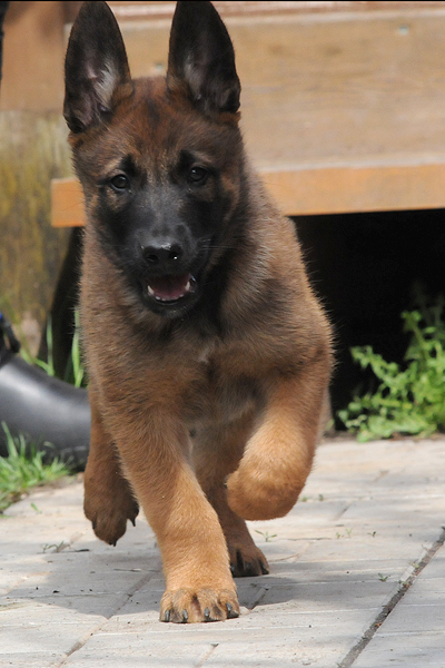 DSC_3145.JPG