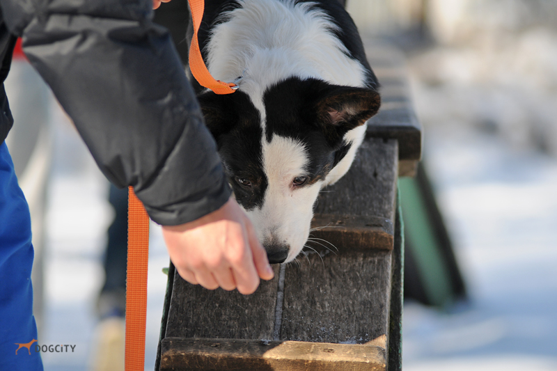 DSC_0162.JPG