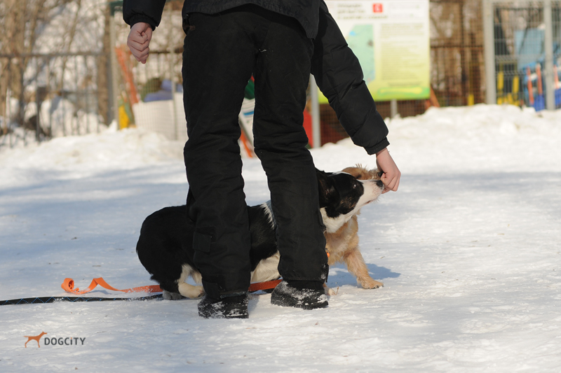 DSC_9877.JPG