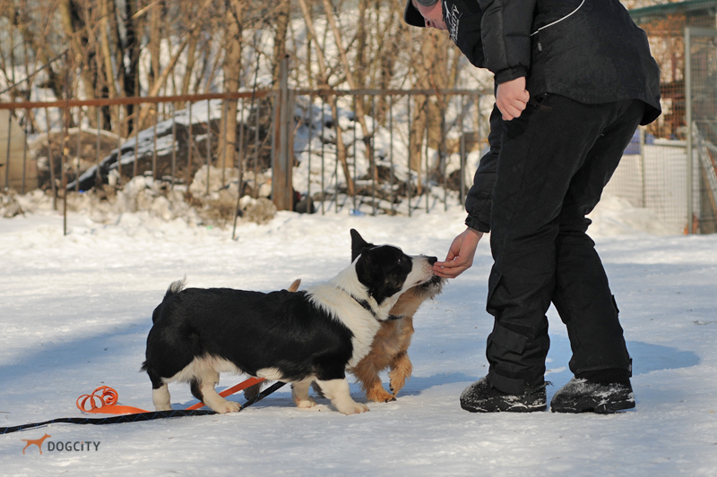 DSC_9874.JPG