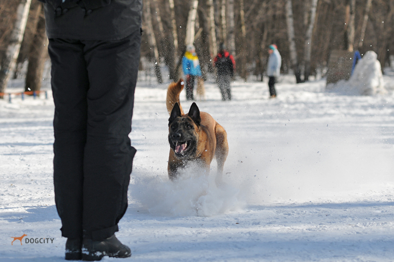 DSC_0330.JPG
