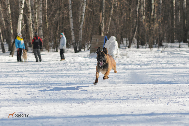 DSC_0325.JPG