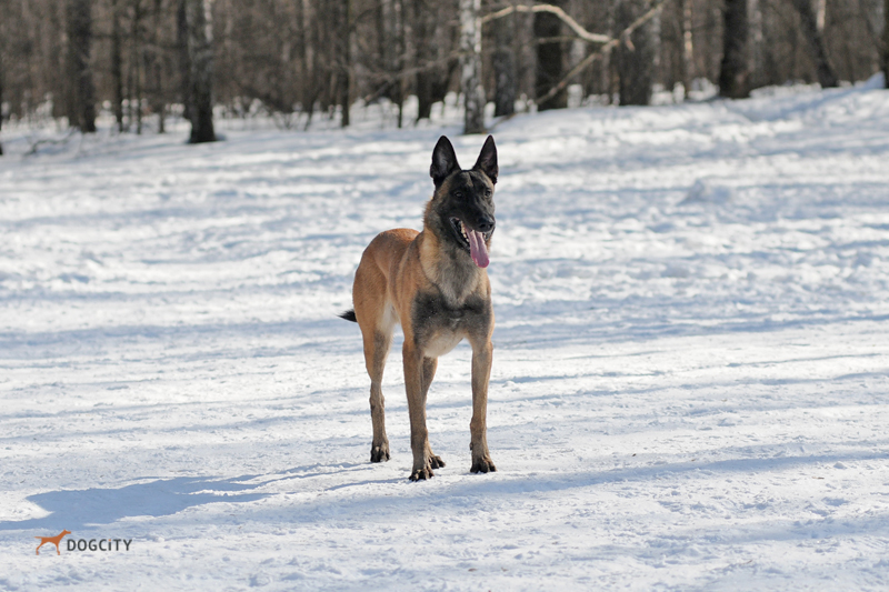 DSC_0295.JPG