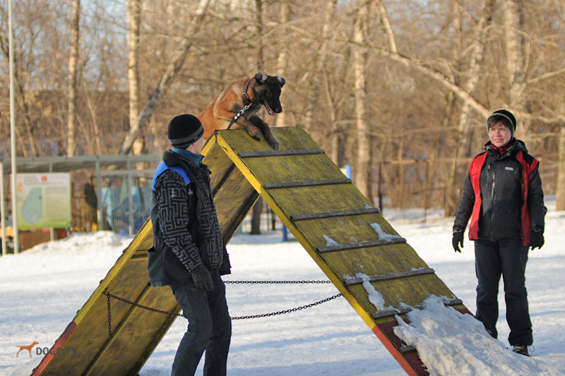 DSC_0734.JPG