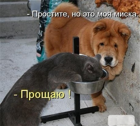 u6b1j_gAn7Y (1).jpg