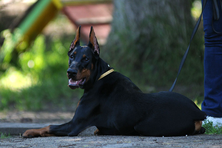 DSC_8042.JPG