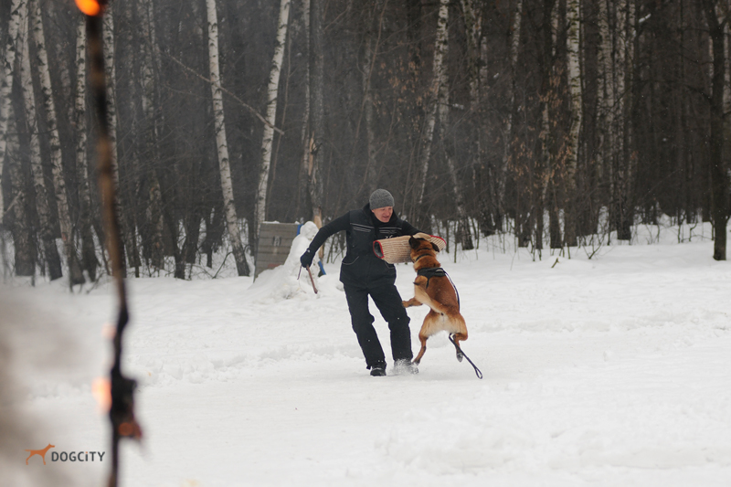 DSC_1490.JPG