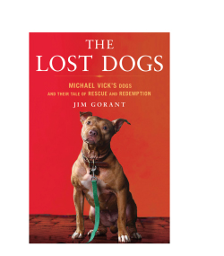 lost-dogs-recrop.jpg