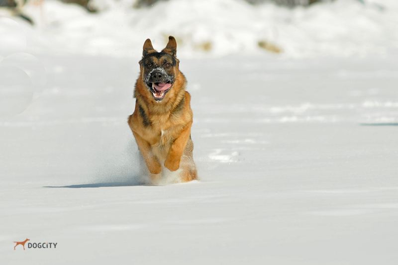 DSC_1514.JPG
