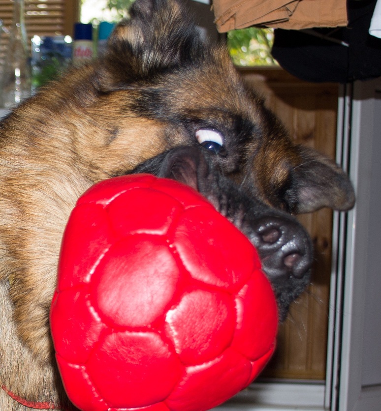 DSC_3001.jpg