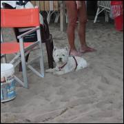 thumb-C852_4E522B39.jpg