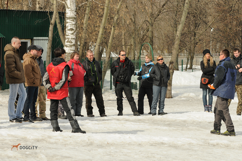 Дрессировка-собак2669.jpg