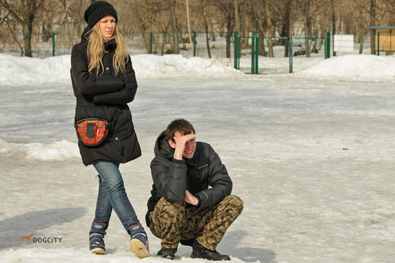 Дрессировка-собак2667.jpg
