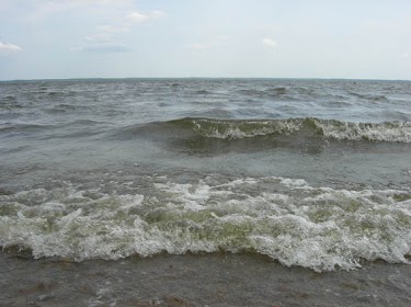 DSCN3970.jpg