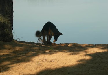 DSCN4126.jpg