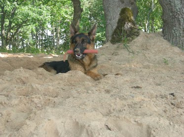 DSCN4166.jpg