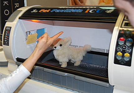 10_pet_accessories_11.jpg