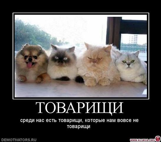 getImage (2).jpg