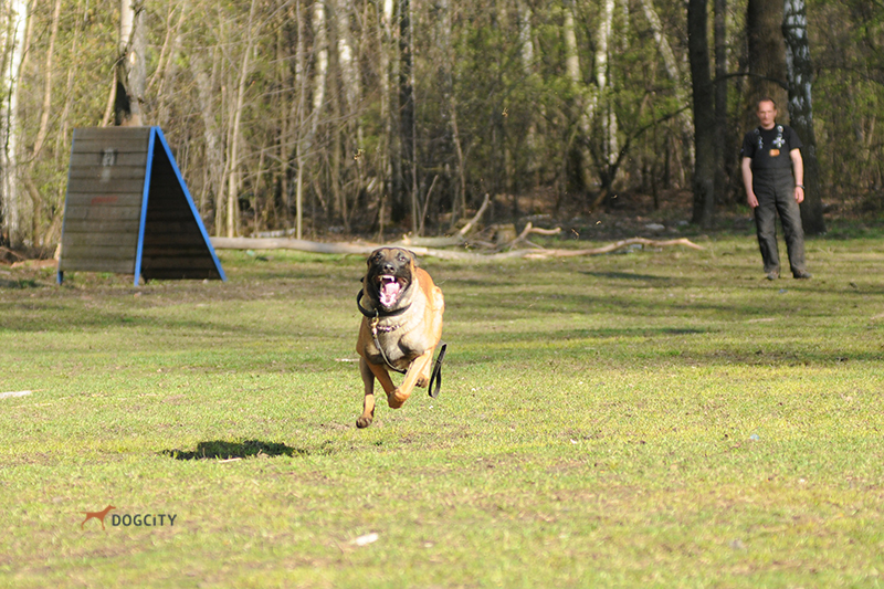 DSC_0246.JPG