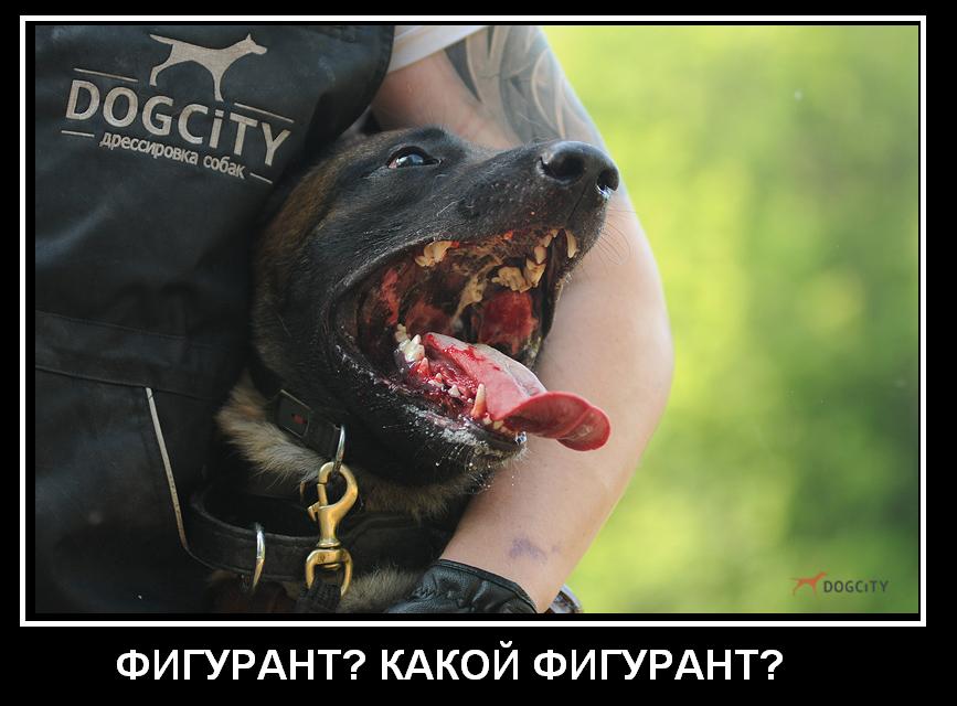 -_4288~1.JPG