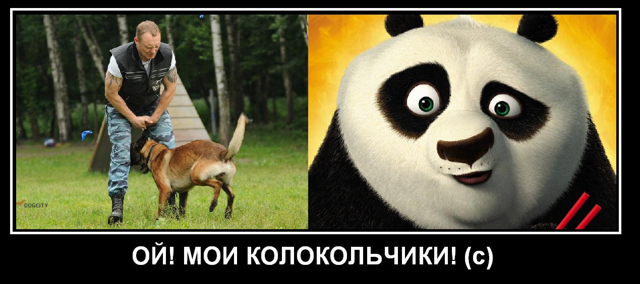 panda.jpg