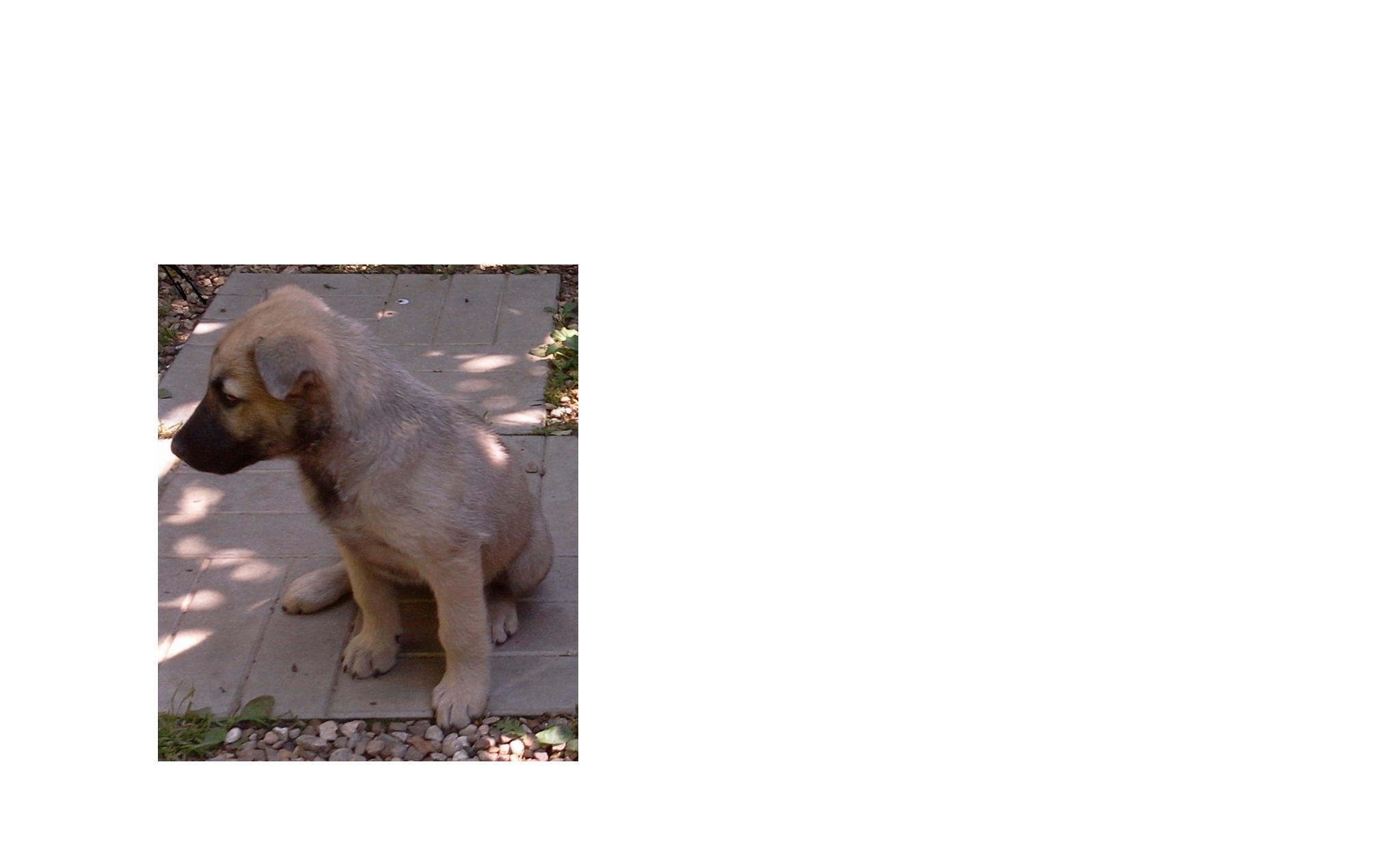 Фото0328 - копия.jpg