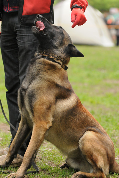 DSC_3436.JPG