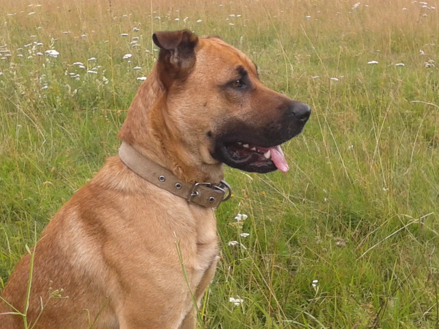 20120725_185002.jpg