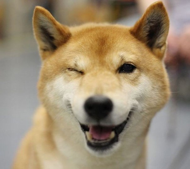 NFE.jpg
