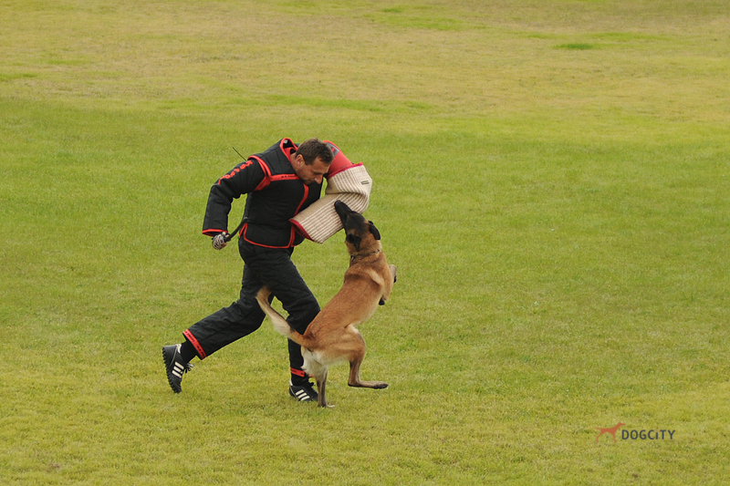 DSC_5525.JPG