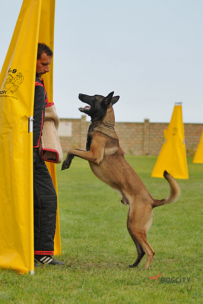 DSC_5606.JPG