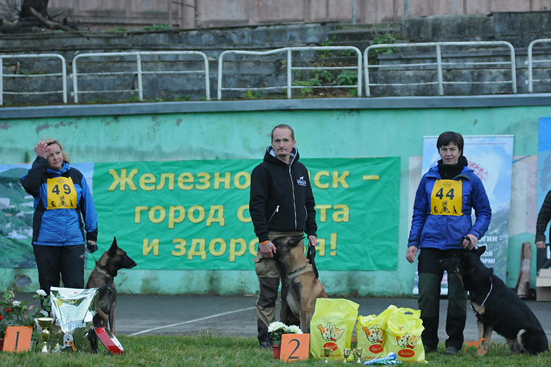 Дрессировка-собак7041.jpg