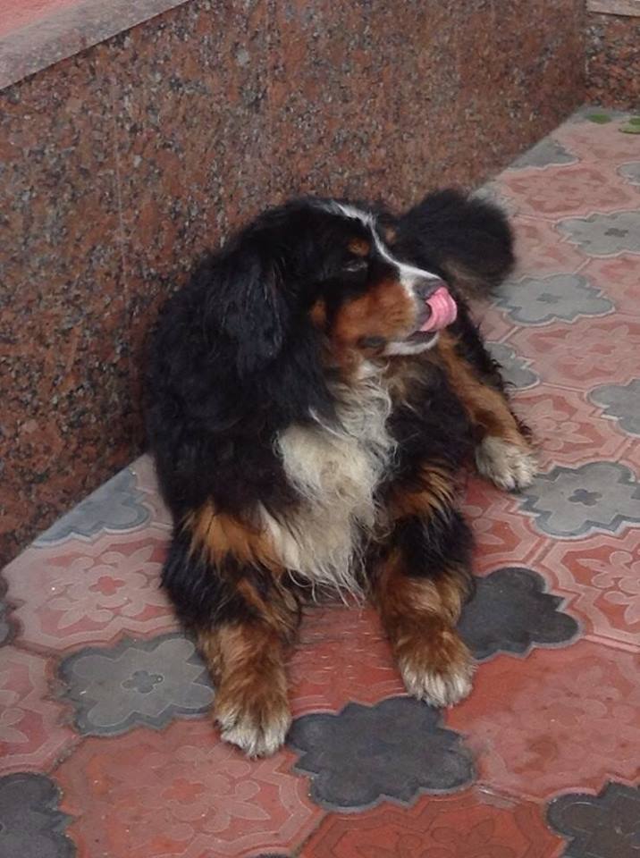 001.jpg