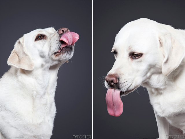 15a8e0d648dd.jpg