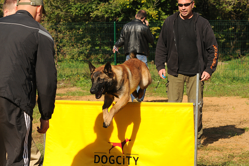 DSC_0856.JPG