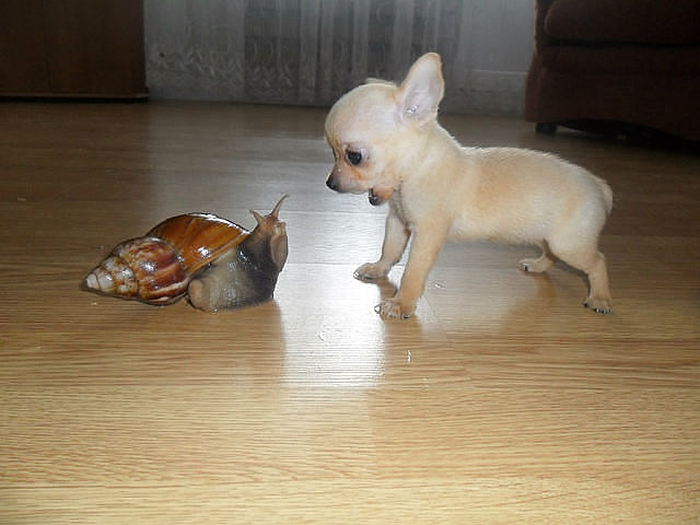 getImage (1)22.jpg