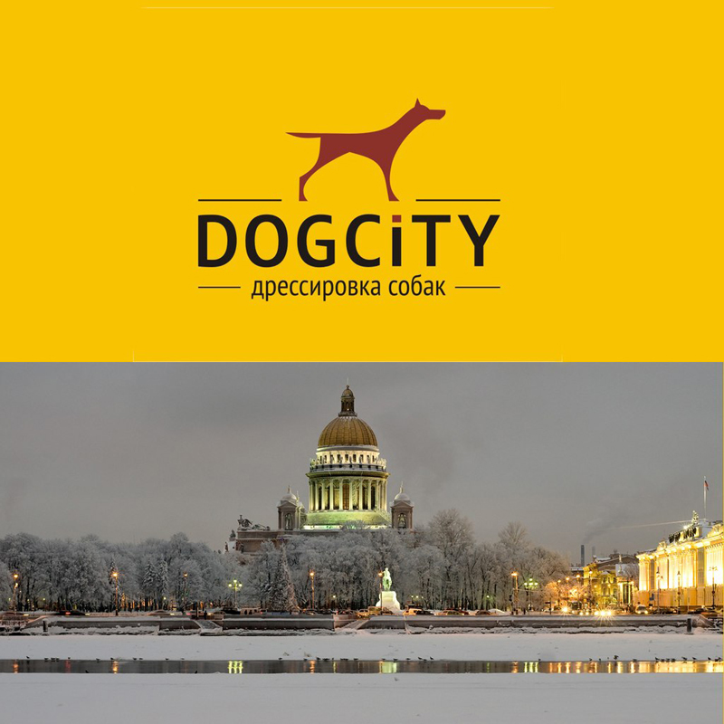догсити.jpg