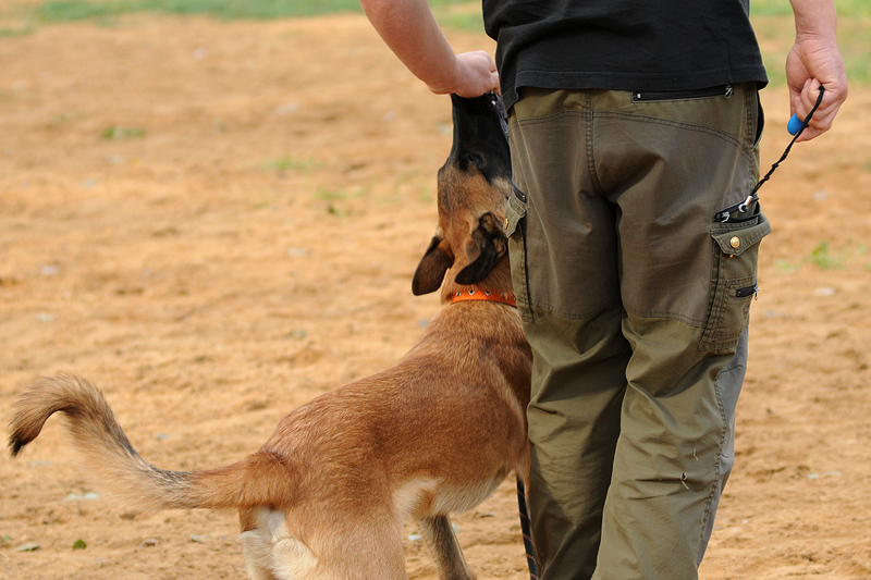 DSC_1112.JPG