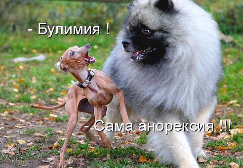 getImage1.jpg