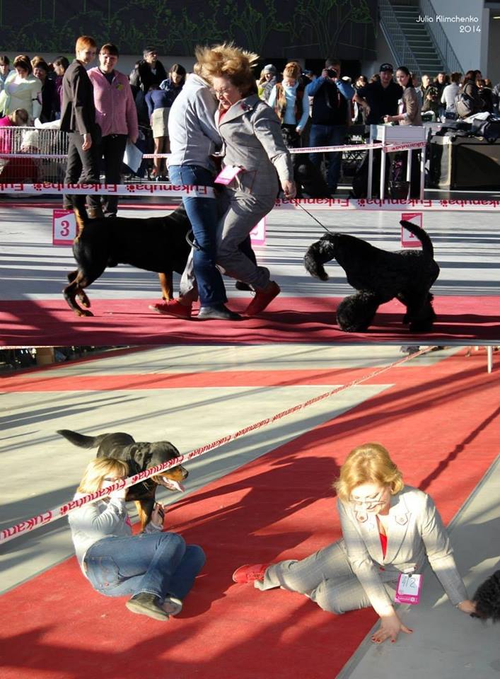 1557527_243308755848200_1243007903_n.jpg
