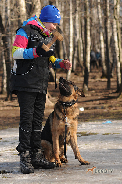 Дрессировка-собак_0605.jpg